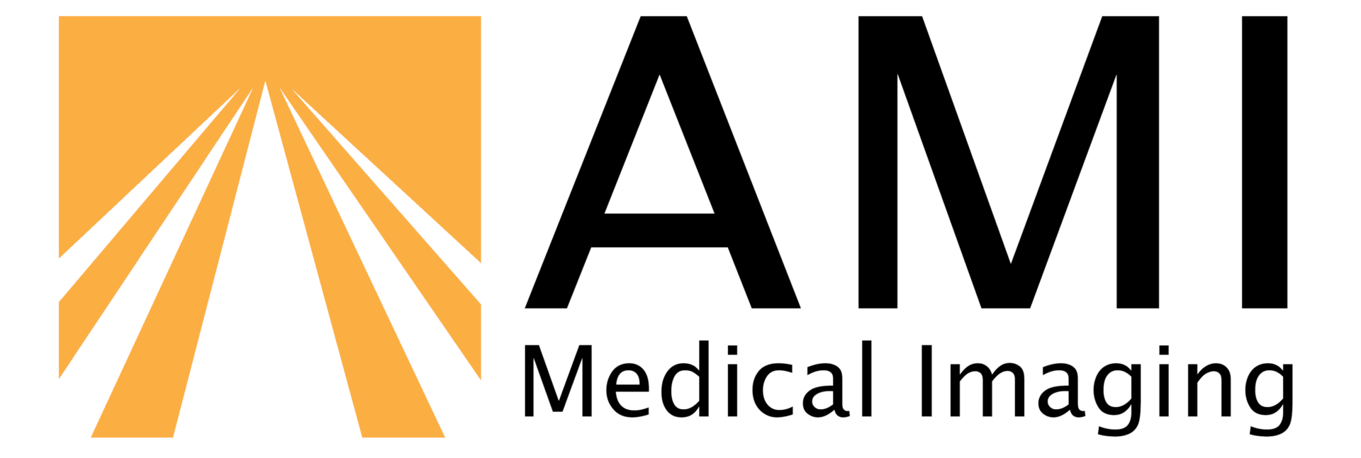 AMI Full Logo White Backround